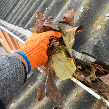 keep gutters clean
