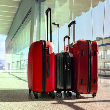 lurking in your luggage