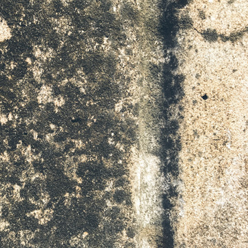 is your crawl space unhealthy