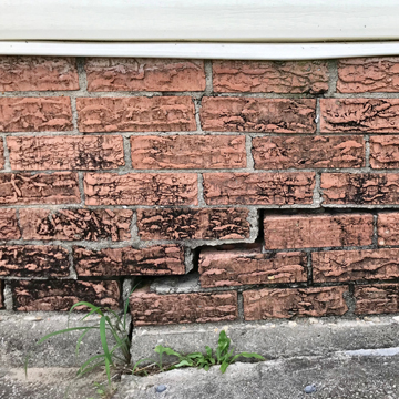 moisture problem attracts pests