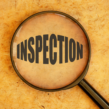 termite inspection