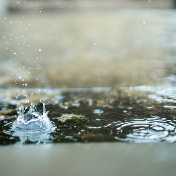 water in crawlspace