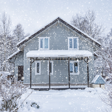 pest control in winter storm