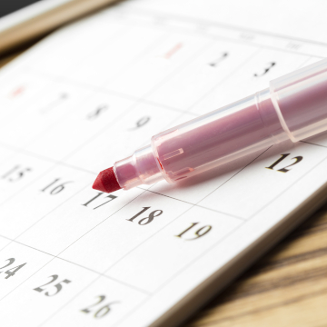 schedule termite treatment