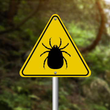 tick control