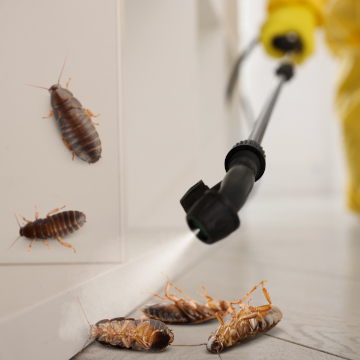 pest control company